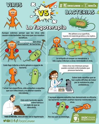 VIRUS Y BACTERIAS