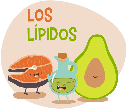 LIPIDOS