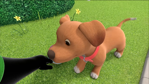 Bing Dog