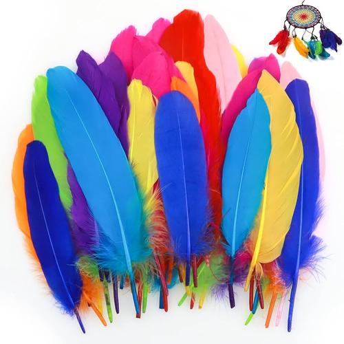 plumas
