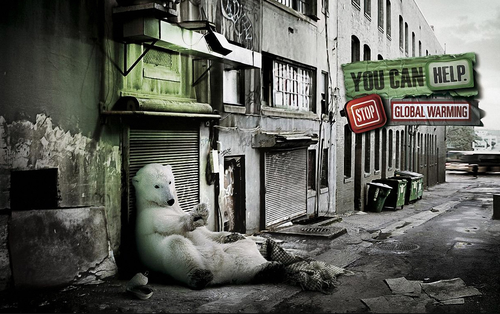 Polar Bear in the city