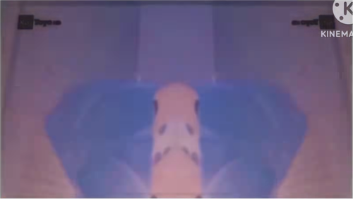 dall angelo pictures rgb to bgr confusion reversed