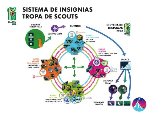 Sistema de Insignias en la Tropa scout