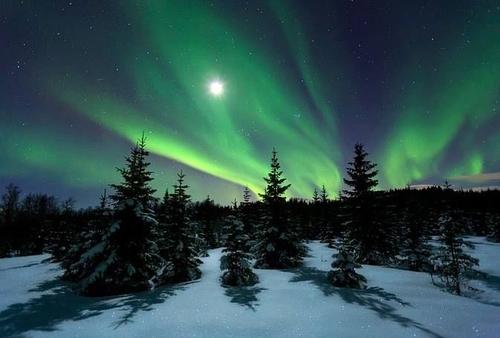 Auroras