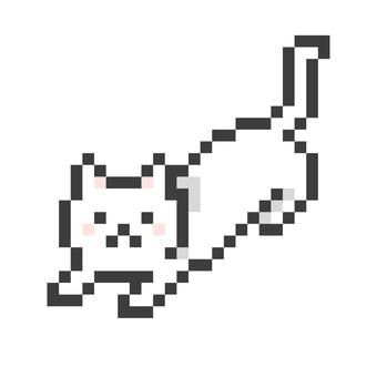 Snow Cat