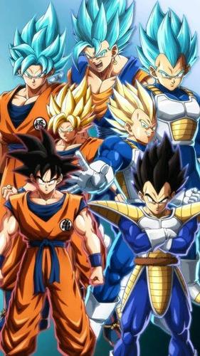 Vegeta e Goku