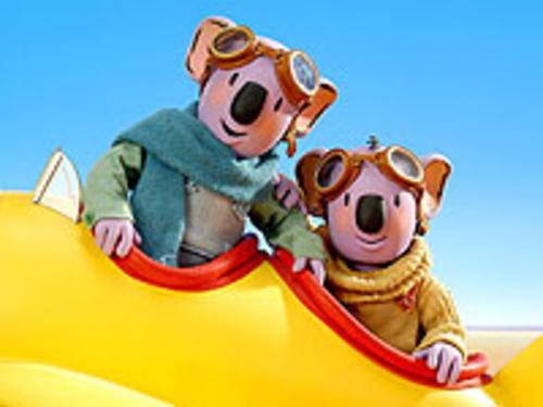 Koala Brothers 11