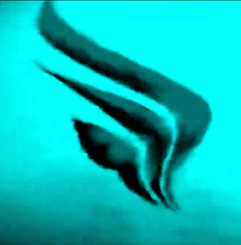 DALL'ANGELO PICTURES EFFECTS PREVIEW