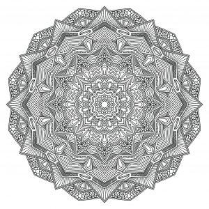 Complex Mandala Drawing