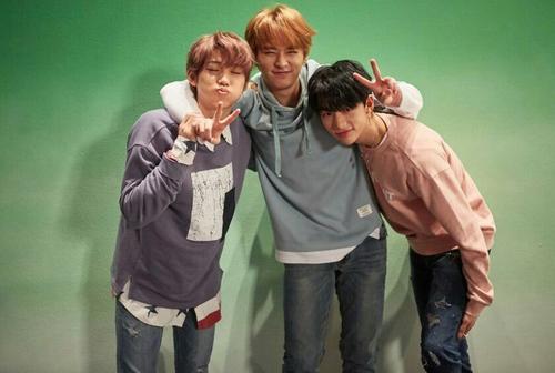 minhyunlix minusculos no fundo verde