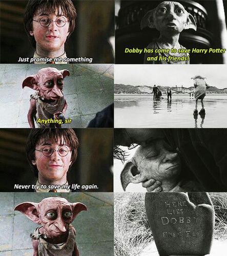 Harry y Dobby