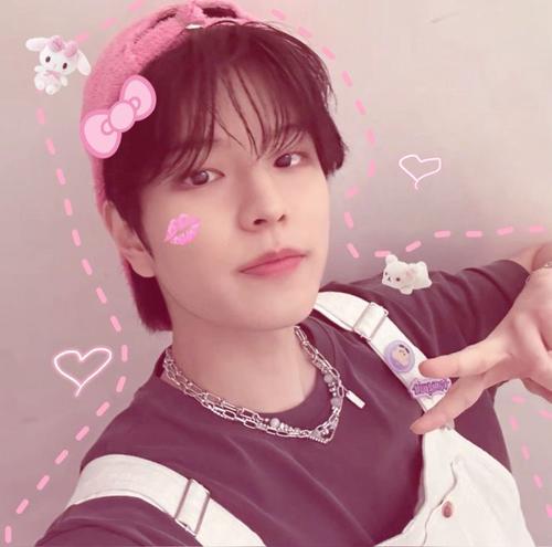 pink seungmin de bone