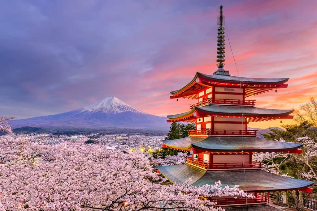 Japan blossom