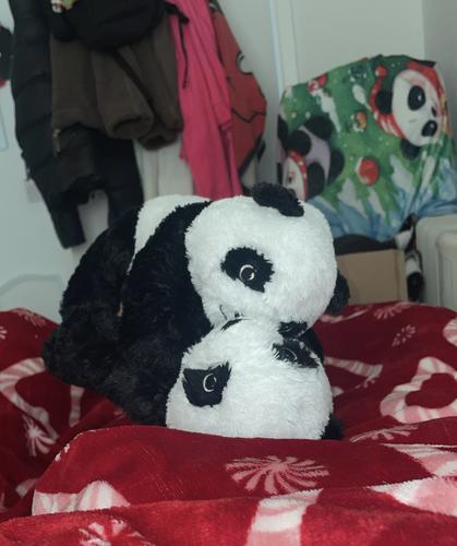 Lily panda and Coraline panda Snogging
