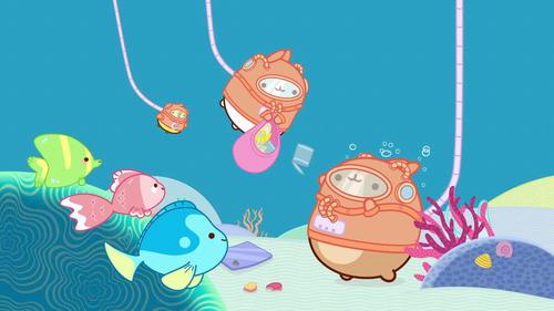 don't throw rubbish in the sea