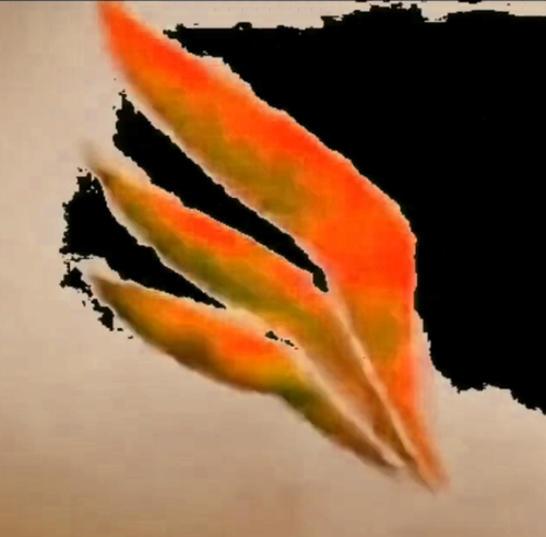 DALL'ANGELO PICTURES EFFECTS PREVIEW