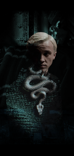 Harry Potter- Draco Malfoy