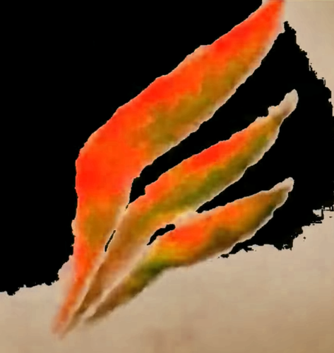 dall angelo pictures g major 4