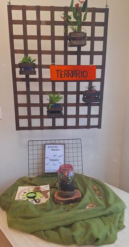 terrario