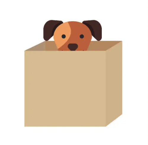 the dog is in the box