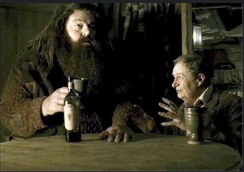 Hagrid y Horace