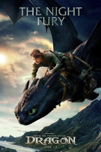 training dragon 2
