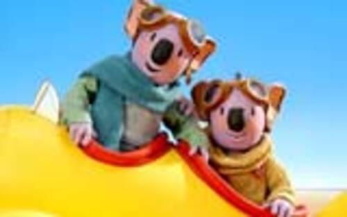 Koala Brothers 17