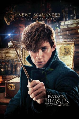 Newt Scamander Magizoologist