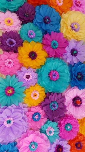 flores