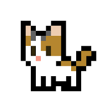 Calico Cat