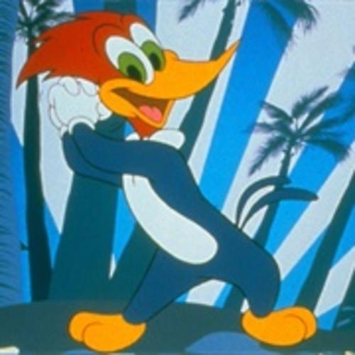 New Woody Woodpecker Show 8